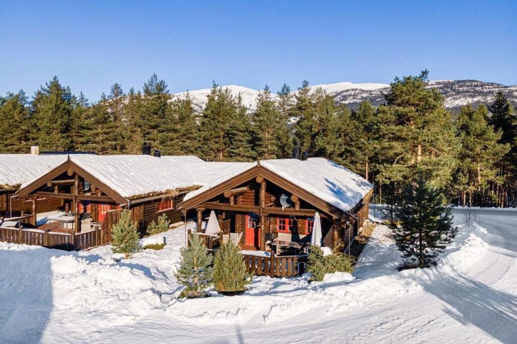 100M Lift, 2 Min Swim - Large Family Cabin Vradal Ngoại thất bức ảnh